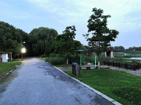 山東青島智慧路燈案例